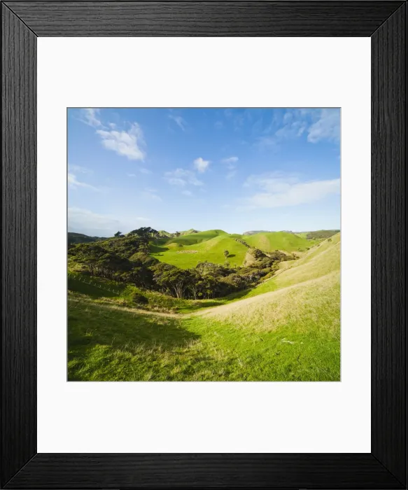 Framed Print : Countryside on the walk to Wharariki Beach, Wharariki, Golden Bay, Tasman Region, South Island, New Zealand, Pacific Framed Print : Countryside on the walk to Wharariki Beach, Wharariki, Golden Bay, Tasman Region, South Island, New Zealand, Pacific