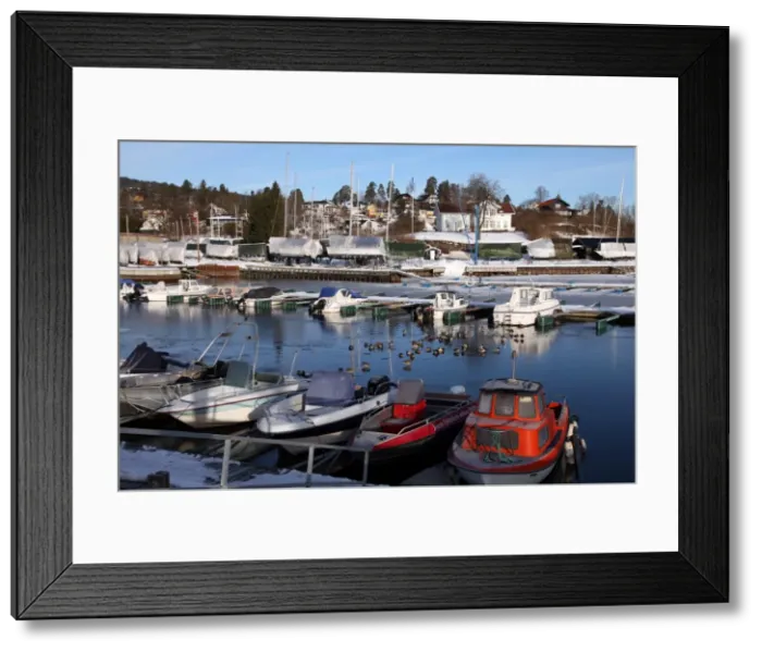 Framed Print : Marina in winter, Asker, Oslofjord, Norway, Scandinavia, Europe Framed Print : Marina in winter, Asker, Oslofjord, Norway, Scandinavia, Europe