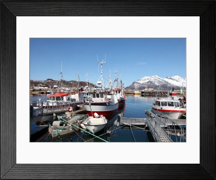 Framed Print : Fishing boats in Tomvik harbour, Kvaloya (Whale Island), Troms, Arctic Norway, Scandinavia, Europe Framed Print : Fishing boats in Tomvik harbour, Kvaloya (Whale Island), Troms, Arctic Norway, Scandinavia, Europe