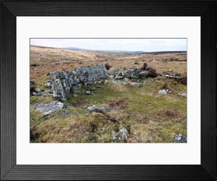 Framed Print : Ruined prehistoric farmhouse, near Headland Warren, Dartmoor National Park, Devon, England, United Kingdom, Europe Framed Print : Ruined prehistoric farmhouse, near Headland Warren, Dartmoor National Park, Devon, England, United Kingdom, Europe