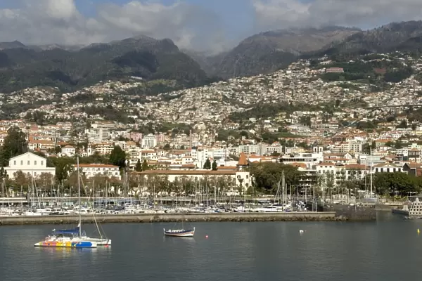 Funchal, Madeira, Portugal, Atlantic, Europe