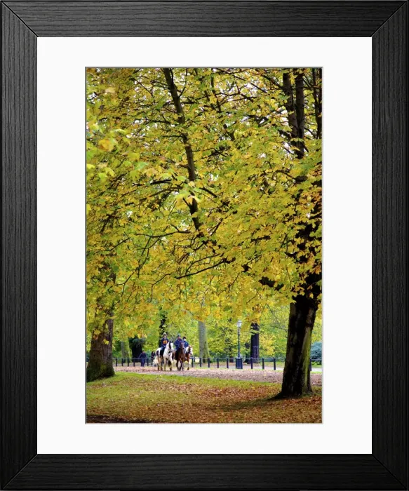 Framed Print : Horses in an autumnal Hyde Park, London, England, United Kingdom, Europe Framed Print : Horses in an autumnal Hyde Park, London, England, United Kingdom, Europe