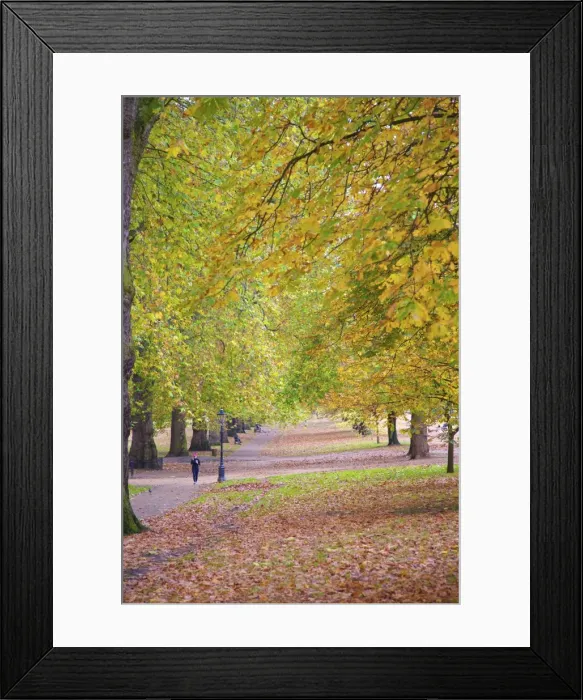 Framed Print : Walking in an autumnal Hyde Park, London, England, United Kingdom, Europe Framed Print : Walking in an autumnal Hyde Park, London, England, United Kingdom, Europe