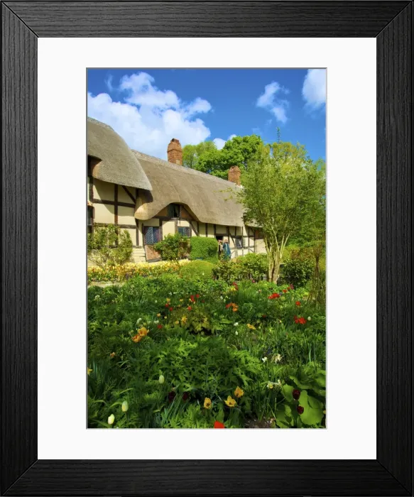 Framed Print : Anne Hathaways Cottage, Shottery, Stratford upon Avon, Warwickshire, England, United Kingdom, Europe Framed Print : Anne Hathaways Cottage, Shottery, Stratford upon Avon, Warwickshire, England, United Kingdom, Europe
