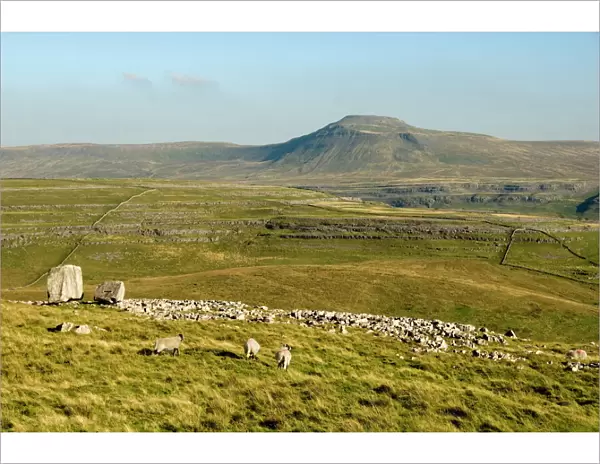 Ingleborough, seen beyond the Cheese Press Stone above Kingsdale, Yorkshire Dales, Yorkshire, England, United Kingdom, Europe