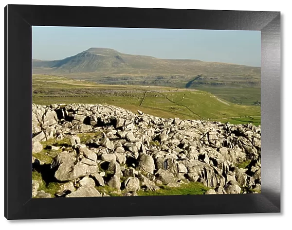 Ingleborough, seen from limestone benches above Kingsdale, Yorkshire Dales, Yorkshire, England, United Kingdom, Europe