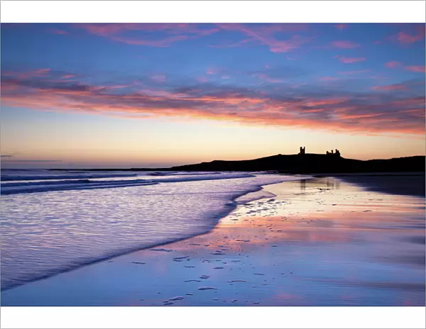 Looking across Embleton Bay at sunrise towards the silhouetted ruins of Dunstanburgh Castle in the distance and the vivid colours in the sky reflecting in the sea and wet sand, Embleton, near Alnwick, Northumberland, England, United Kingdom