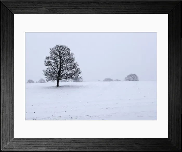 Framed Print : Snowy landscape with trees, Broadwell, Gloucestershire, Cotswolds, England, United Kingdom, Europe Framed Print : Snowy landscape with trees, Broadwell, Gloucestershire, Cotswolds, England, United Kingdom, Europe