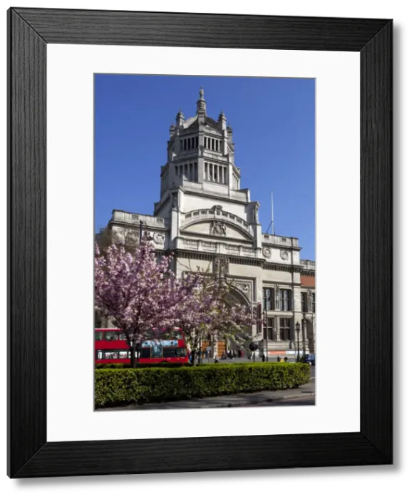 Framed Print : Victoria and Albert Museum with cherry blossom trees, Kensington, London, England, United Kingdom, Europe Framed Print : Victoria and Albert Museum with cherry blossom trees, Kensington, London, England, United Kingdom, Europe