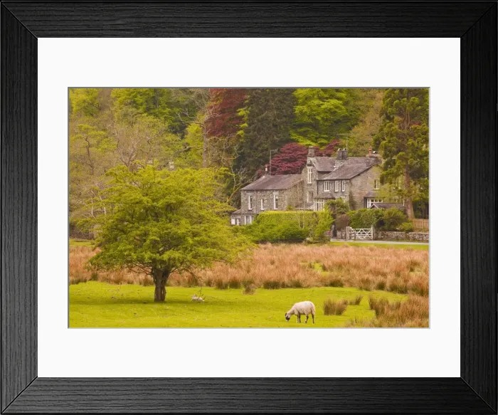 Framed Print : A house amongst the woodland near to Ambleside in the Lake District National Park, Cumbria, England, United Kingdom, Europe Framed Print : A house amongst the woodland near to Ambleside in the Lake District National Park, Cumbria, England, United Kingdom, Europe