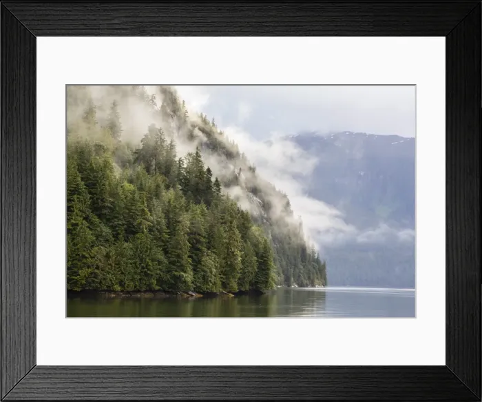 Framed Print : Fog-shrouded forest near Juneau, Southeast Alaska, United States of America, North America Framed Print : Fog-shrouded forest near Juneau, Southeast Alaska, United States of America, North America
