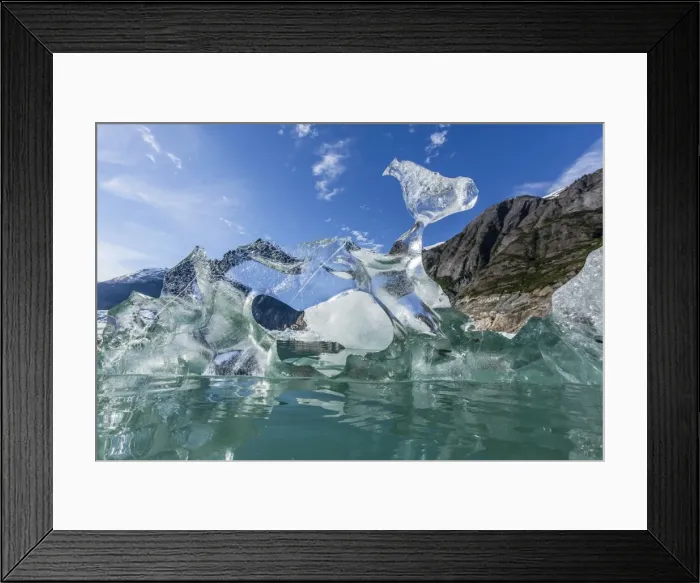 Framed Print : Glacial ice calved from the Sawyer Glacier, Williams Cove, Tracy Arm-Fords Terror Wilderness Area, Southeast Alaska, United States of America, North America Framed Print : Glacial ice calved from the Sawyer Glacier, Williams Cove, Tracy Arm-Fords Terror Wilderness Area, Southeast Alaska, United States of America, North America