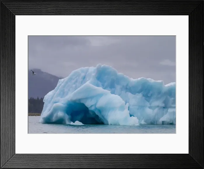 Framed Print : Glacial ice calved from the LeConte Glacier, Outside Petersburg, Southeast Alaska, United States of America, North America Framed Print : Glacial ice calved from the LeConte Glacier, Outside Petersburg, Southeast Alaska, United States of America, North America