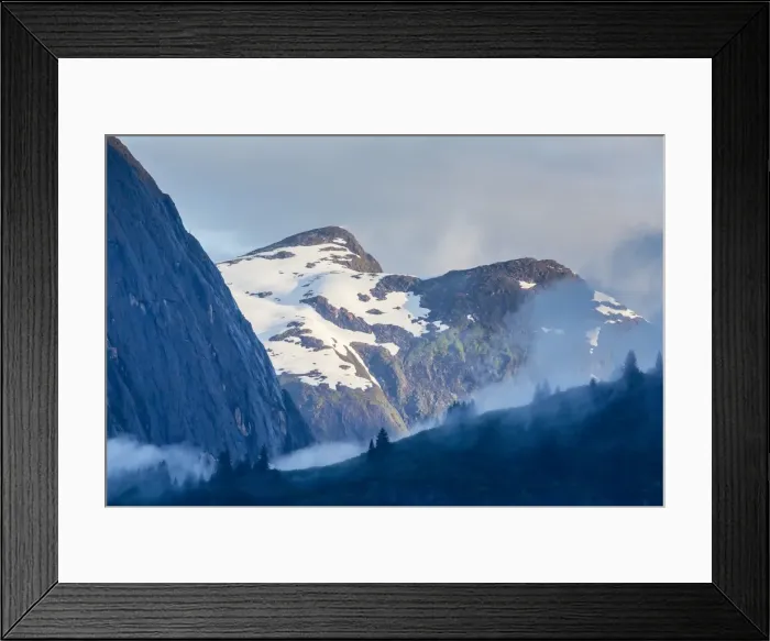Framed Print : Fog in trees in Tracy Arm-Fords Terror Wilderness area, Southeast Alaska, United States of America, North America Framed Print : Fog in trees in Tracy Arm-Fords Terror Wilderness area, Southeast Alaska, United States of America, North America