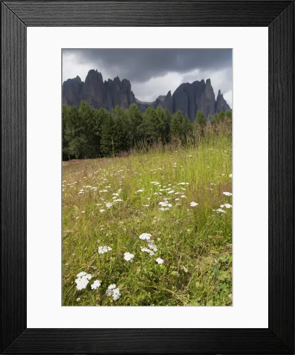 Framed Print : Meadow and the Rosengarten Peaks in the Dolomites near Canazei, Trentino-Alto Adige, Italy, Europe Framed Print : Meadow and the Rosengarten Peaks in the Dolomites near Canazei, Trentino-Alto Adige, Italy, Europe