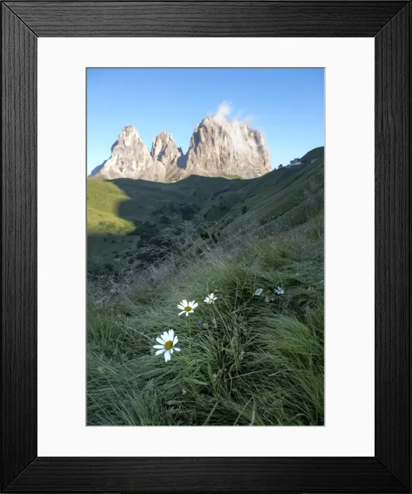Framed Print : Wild flowers and the dramatic Sassolungo mountains in the Dolomites near Canazei, Trentino-Alto Adige, Italy, Europe Framed Print : Wild flowers and the dramatic Sassolungo mountains in the Dolomites near Canazei, Trentino-Alto Adige, Italy, Europe