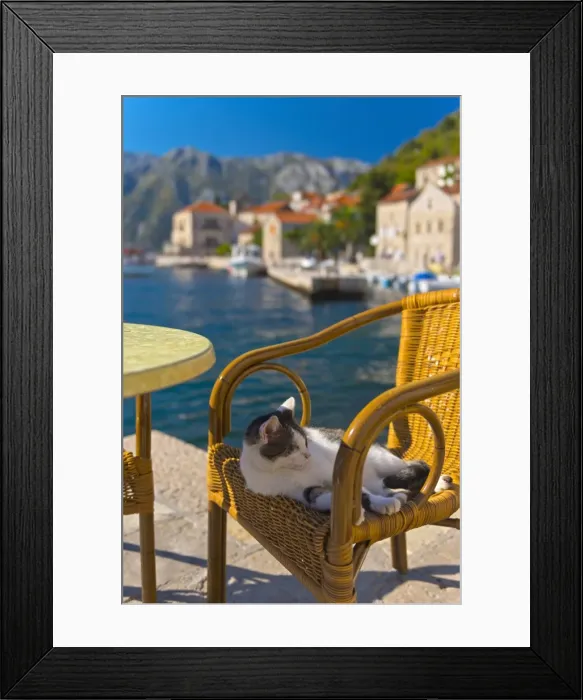 Framed Print : Waterside cafe and cat, Perast, Bay of Kotor, UNESCO World Heritage Site, Montenegro, Europe Framed Print : Waterside cafe and cat, Perast, Bay of Kotor, UNESCO World Heritage Site, Montenegro, Europe