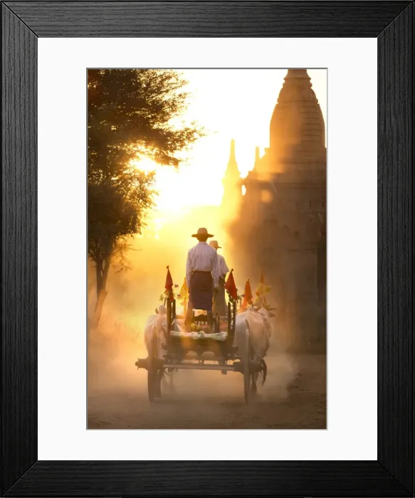 Framed Print : Bullock cart on a dusty track among the temples of Bagan with light from the setting sun shining through the dust, Bagan, Myanmar (Burma), Southeast Asia Framed Print : Bullock cart on a dusty track among the temples of Bagan with light from the setting sun shining through the dust, Bagan, Myanmar (Burma), Southeast Asia