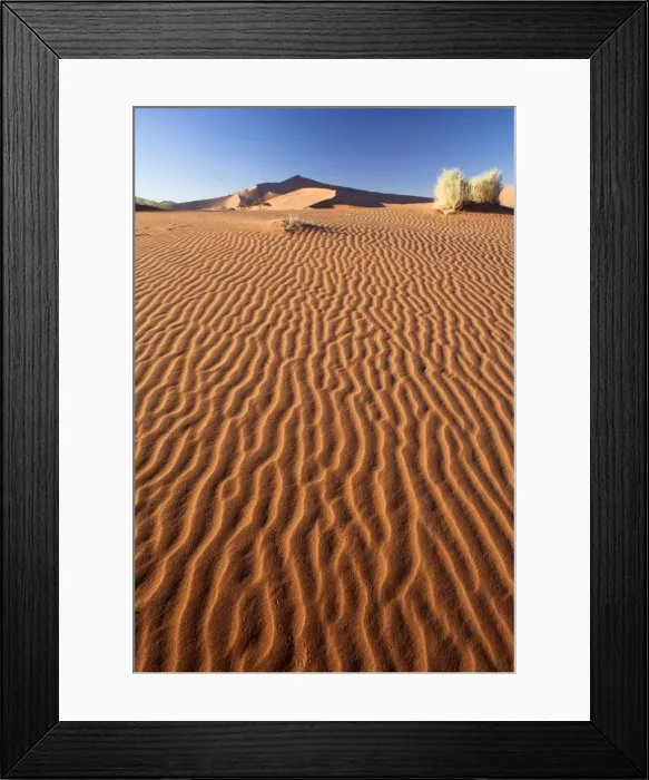Framed Print : Sand Ripples on one of the ancient orange dunes of the Namib Desert at Sossusvlei, near Sesriem, Namib Naukluft Park, Namibia, Africa Framed Print : Sand Ripples on one of the ancient orange dunes of the Namib Desert at Sossusvlei, near Sesriem, Namib Naukluft Park, Namibia, Africa