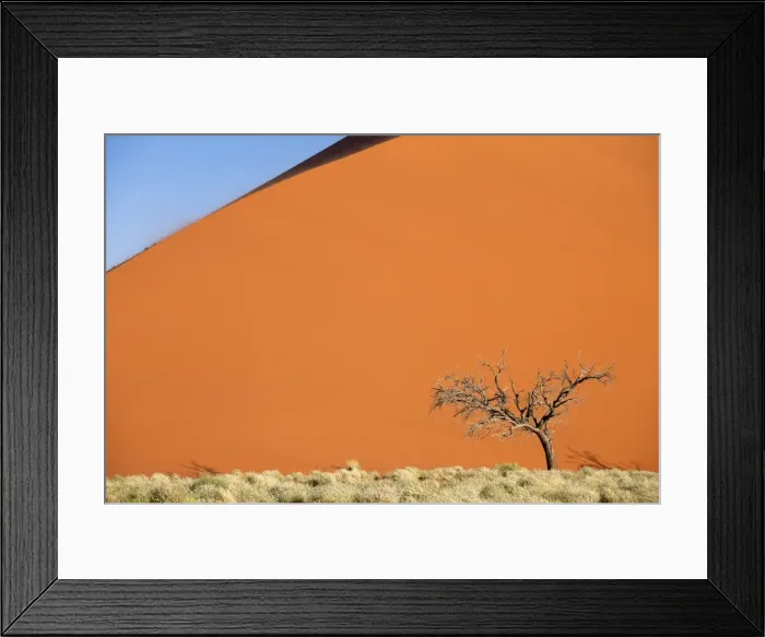 Framed Print : Dead camel thorn tree against the orange sand of Elim Dune, Namib Desert near Sesriem, Namib Naukluft Park, Namibia, Africa Framed Print : Dead camel thorn tree against the orange sand of Elim Dune, Namib Desert near Sesriem, Namib Naukluft Park, Namibia, Africa