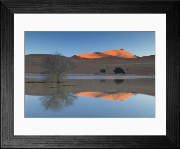 Framed Print : Rising sun catching the summit of towering orange sand dunes with reflections in the flooded pan of Sossusvlei caused by rare heavy rainfall, Namib Desert near Sesriem, Namib Naukluft Park, Namibia, Africa Framed Print : Rising sun catching the summit of towering orange sand dunes with reflections in the flooded pan of Sossusvlei caused by rare heavy rainfall, Namib Desert near Sesriem, Namib Naukluft Park, Namibia, Africa
