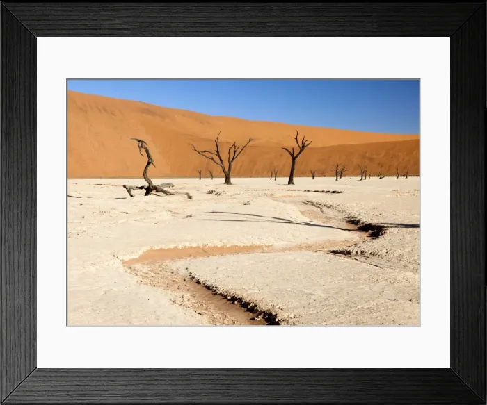 Framed Print : Dried mud pan with ancient camelthorn trees and orange sand dunes in the distance, Dead Vlei, Namib Desert, Namib Naukluft Park, Namibia, Africa