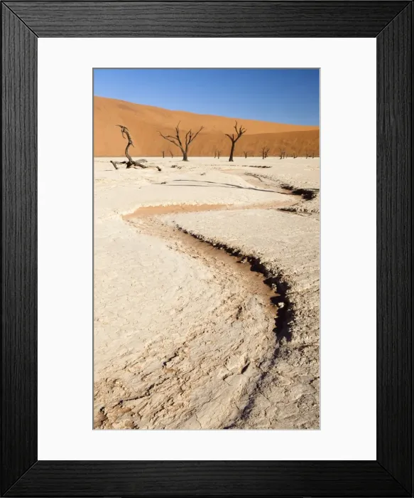 Framed Print : Dried mud pan with ancient camelthorn trees and orange sand dunes in the distance, Dead Vlei, Namib Desert, Namib Naukluft Park, Namibia, Africa Framed Print : Dried mud pan with ancient camelthorn trees and orange sand dunes in the distance, Dead Vlei, Namib Desert, Namib Naukluft Park, Namibia, Africa
