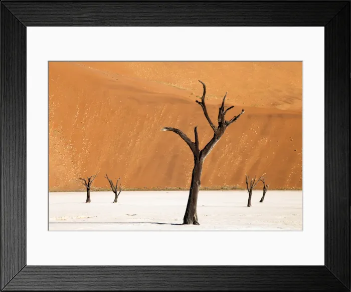 Framed Print : Dead camelthorn trees said to be centuries old against towering orange sand dunes bathed in evening light at Dead Vlei, Namib Desert, Namib Naukluft Park, Namibia, Africa Framed Print : Dead camelthorn trees said to be centuries old against towering orange sand dunes bathed in evening light at Dead Vlei, Namib Desert, Namib Naukluft Park, Namibia, Africa