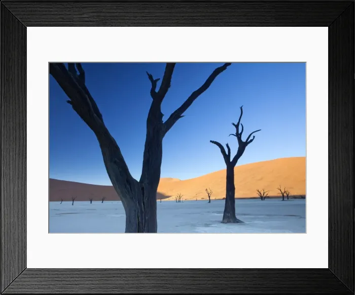 Framed Print : Dead camelthorn trees said to be centuries old in silhouette against towering orange sand dunes bathed in morning light in the dried mud pan at Dead Vlei, Namib Desert, Namib Naukluft Park, Namibia, Africa Framed Print : Dead camelthorn trees said to be centuries old in silhouette against towering orange sand dunes bathed in morning light in the dried mud pan at Dead Vlei, Namib Desert, Namib Naukluft Park, Namibia, Africa