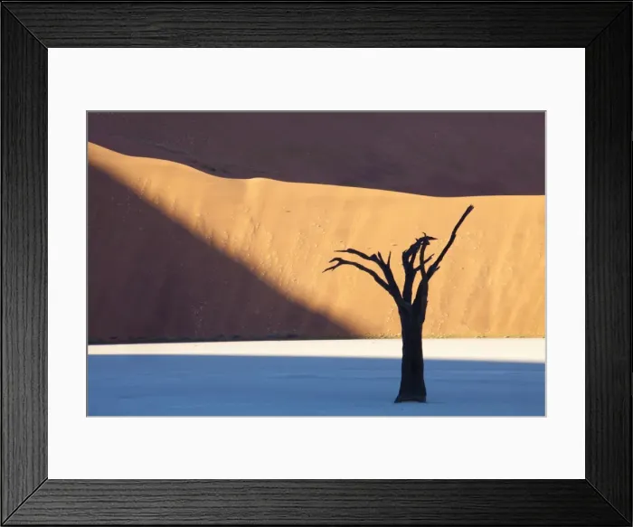 Framed Print : Dead camelthorn tree said to be centuries old in silhouette against towering orange sand dunes bathed in evening light at Dead Vlei, Namib Desert, Namib Naukluft Park, Namibia, Africa Framed Print : Dead camelthorn tree said to be centuries old in silhouette against towering orange sand dunes bathed in evening light at Dead Vlei, Namib Desert, Namib Naukluft Park, Namibia, Africa