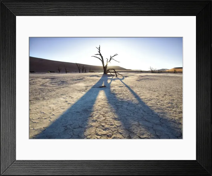 Framed Print : Dead camelthorn trees said to be centuries old in silhouette at sunset in the dried mud pan at Dead Vlei, Namib Desert, Namib Naukluft Park, Namibia, Africa Framed Print : Dead camelthorn trees said to be centuries old in silhouette at sunset in the dried mud pan at Dead Vlei, Namib Desert, Namib Naukluft Park, Namibia, Africa