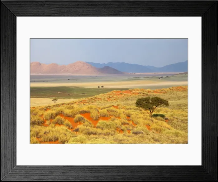 Framed Print : Panoramic view over the desert landscape of the Namib Rand game reserve bathed in evening light, Namib Naukluft Park, Namibia, Africa Framed Print : Panoramic view over the desert landscape of the Namib Rand game reserve bathed in evening light, Namib Naukluft Park, Namibia, Africa