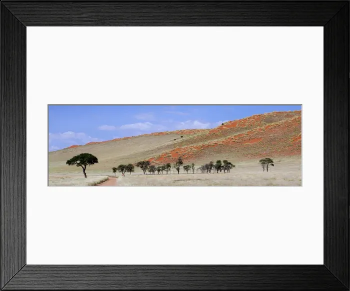 Framed Print : Panoramic view showing trees and grass-covered orange sand dunes, Namib Rand game reserve, Namib Naukluft Park, Namibia, Africa Framed Print : Panoramic view showing trees and grass-covered orange sand dunes, Namib Rand game reserve, Namib Naukluft Park, Namibia, Africa