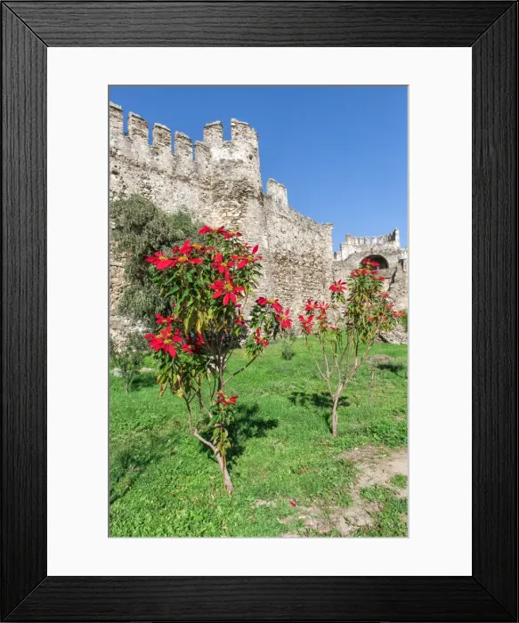 Framed Print : Mamure castle, Anamur, Anatolia, Southwest Turkey, Asia Minor, Eurasia Framed Print : Mamure castle, Anamur, Anatolia, Southwest Turkey, Asia Minor, Eurasia