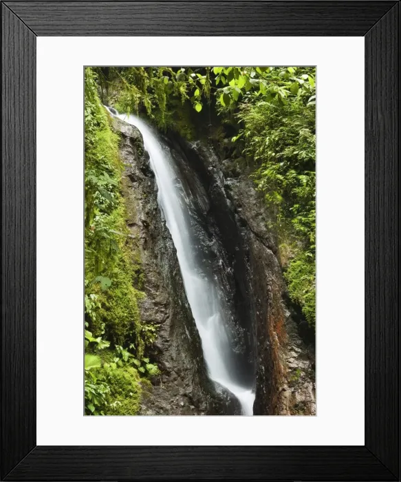 Framed Print : Waterfall at Arenal Hanging Bridges where the rainforest is accessible via walkways, La Fortuna, Alajuela Province, Costa Rica, Central America Framed Print : Waterfall at Arenal Hanging Bridges where the rainforest is accessible via walkways, La Fortuna, Alajuela Province, Costa Rica, Central America