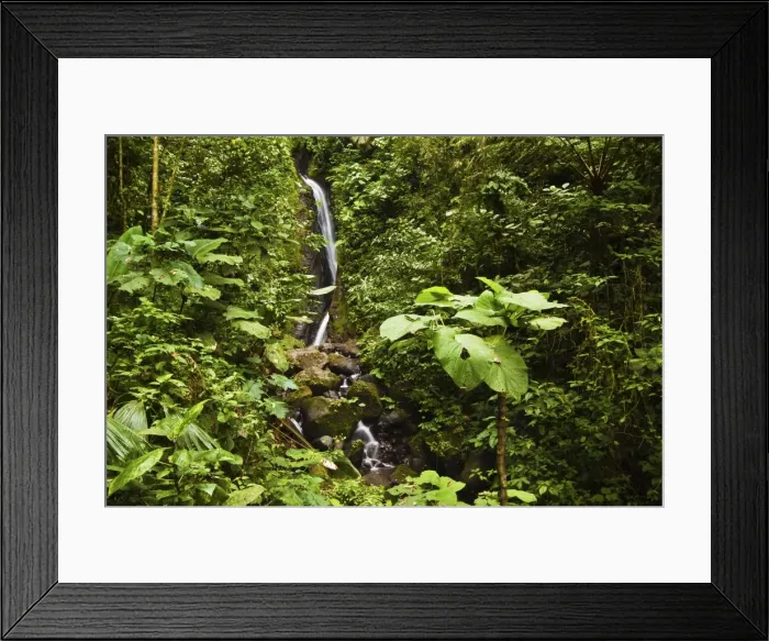 Framed Print : Waterfall at Arenal Hanging Bridges where the rainforest is accessible via walkways, La Fortuna, Alajuela Province, Costa Rica, Central America Framed Print : Waterfall at Arenal Hanging Bridges where the rainforest is accessible via walkways, La Fortuna, Alajuela Province, Costa Rica, Central America