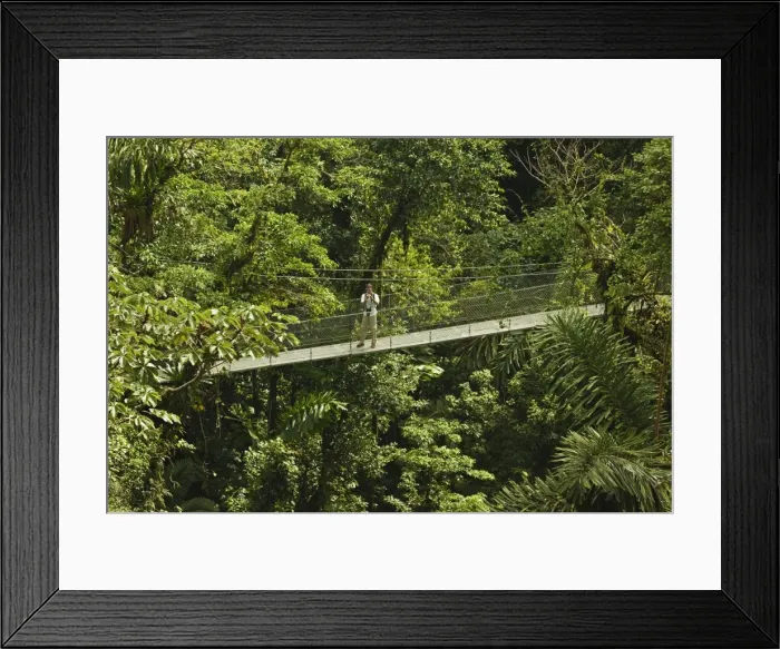 Framed Print : Visitor at Arenal Hanging Bridges where rainforest canopy is accessed via walkways, La Fortuna, Alajuela Province, Costa Rica, Central America