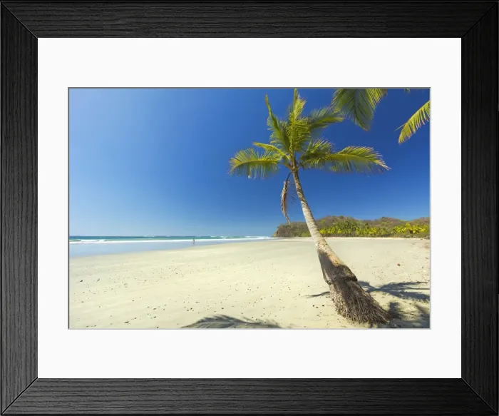 Framed Print : The white sand palm-fringed beach at this laid-back village and resort, Samara, Nicoya Peninsula, Guanacaste Province, Costa Rica, Central America