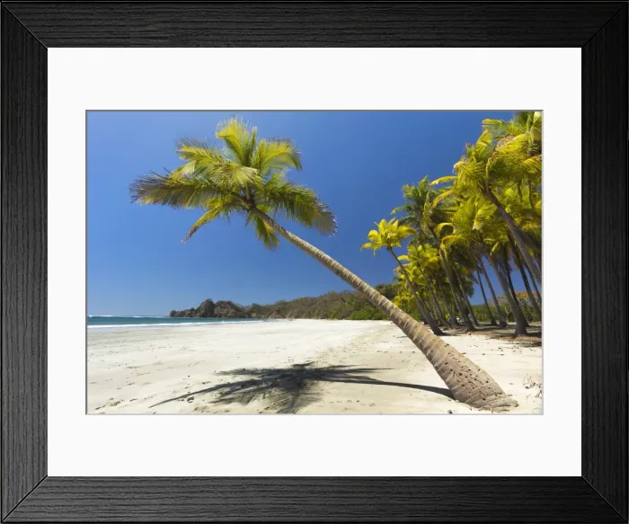 Framed Print : Beautiful palm fringed, white sand Playa Carrillo, Carrillo, nr Samara, Guanacaste Province, Nicoya Peninsula, Costa Rica, Central America Framed Print : Beautiful palm fringed, white sand Playa Carrillo, Carrillo, nr Samara, Guanacaste Province, Nicoya Peninsula, Costa Rica, Central America
