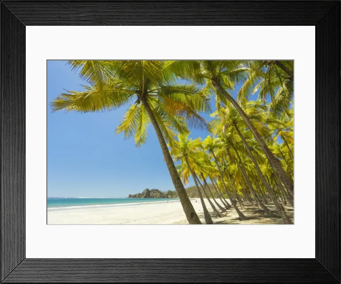 Framed Print : Beautiful palm fringed white sand Playa Carrillo, Carrillo, near Samara, Guanacaste Province, Nicoya Peninsula, Costa Rica, Central America Framed Print : Beautiful palm fringed white sand Playa Carrillo, Carrillo, near Samara, Guanacaste Province, Nicoya Peninsula, Costa Rica, Central America