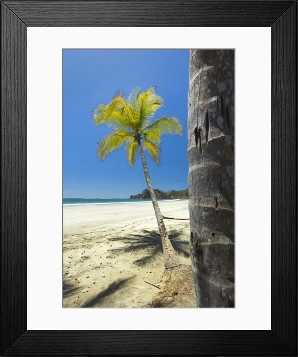 Framed Print : Beautiful palm fringed white sand Playa Carrillo, Carrillo, near Samara, Guanacaste Province, Nicoya Peninsula, Costa Rica, Central America Framed Print : Beautiful palm fringed white sand Playa Carrillo, Carrillo, near Samara, Guanacaste Province, Nicoya Peninsula, Costa Rica, Central America