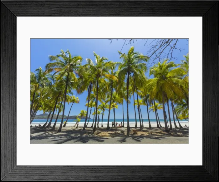 Framed Print : Beautiful palm fringed white sand Playa Carrillo, Carrillo, near Samara, Guanacaste Province, Nicoya Peninsula, Costa Rica, Central America Framed Print : Beautiful palm fringed white sand Playa Carrillo, Carrillo, near Samara, Guanacaste Province, Nicoya Peninsula, Costa Rica, Central America