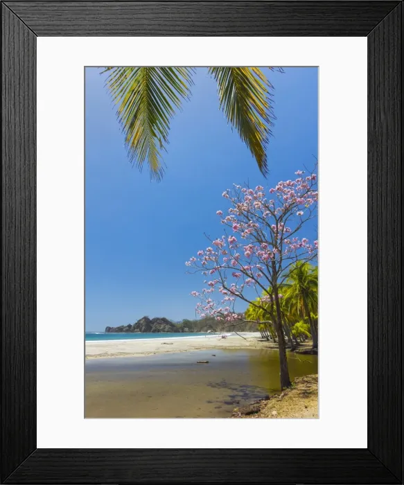 Framed Print : Beautiful palm fringed white sand Playa Carrillo, Carrillo, near Samara, Guanacaste Province, Nicoya Peninsula, Costa Rica, Central America Framed Print : Beautiful palm fringed white sand Playa Carrillo, Carrillo, near Samara, Guanacaste Province, Nicoya Peninsula, Costa Rica, Central America