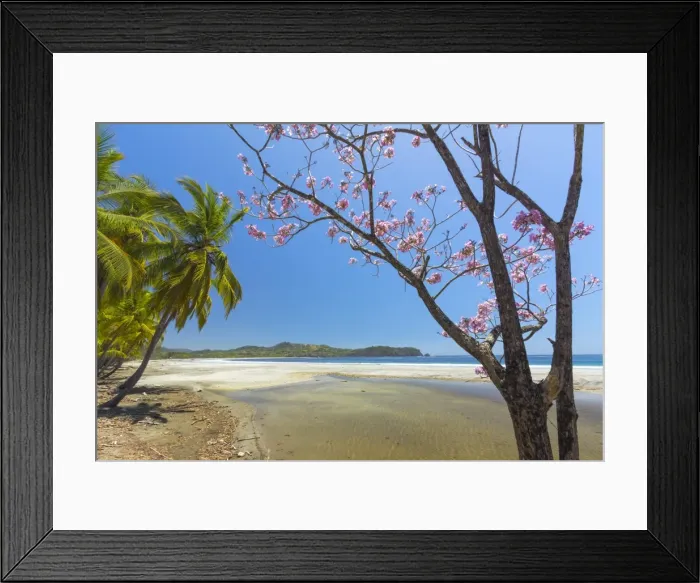 Framed Print : Beautiful palm fringed white sand Playa Carrillo, Carrillo, near Samara, Guanacaste Province, Nicoya Peninsula, Costa Rica, Central America Framed Print : Beautiful palm fringed white sand Playa Carrillo, Carrillo, near Samara, Guanacaste Province, Nicoya Peninsula, Costa Rica, Central America