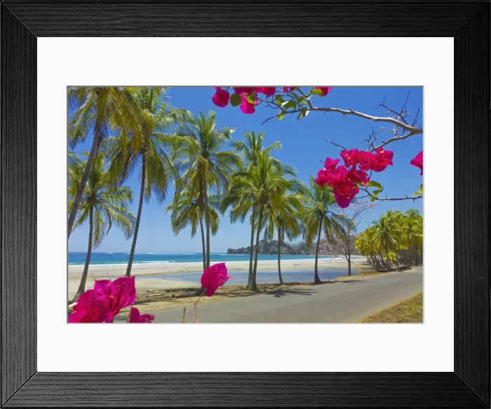 Framed Print : Beautiful palm fringed white sand Playa Carrillo, Carrillo, near Samara, Guanacaste Province, Nicoya Peninsula, Costa Rica, Central America Framed Print : Beautiful palm fringed white sand Playa Carrillo, Carrillo, near Samara, Guanacaste Province, Nicoya Peninsula, Costa Rica, Central America