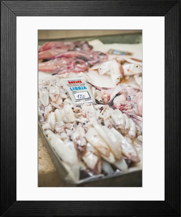 Framed Print : Fresh calamari (squid) in Split fish market, Split, Dalmatia, Croatia, Europe Framed Print : Fresh calamari (squid) in Split fish market, Split, Dalmatia, Croatia, Europe