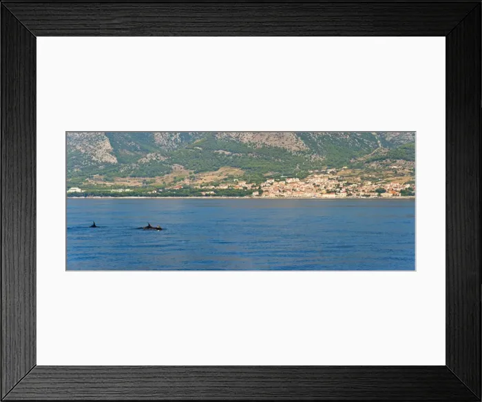 Framed Print : Dolphins seen near Brac Island on the Dalmatian Coast, Adriatic, Croatia, Europe Framed Print : Dolphins seen near Brac Island on the Dalmatian Coast, Adriatic, Croatia, Europe