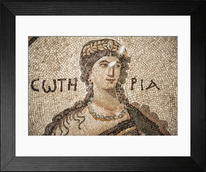 Framed Print : Soteria Roman mosaic, 5th cent AD, Hatay Archaeology Museum, Antioch, Hatay province, Southwest Turkey, Anatolia, Turkey, Asia Minor, Eurasia Framed Print : Soteria Roman mosaic, 5th cent AD, Hatay Archaeology Museum, Antioch, Hatay province, Southwest Turkey, Anatolia, Turkey, Asia Minor, Eurasia