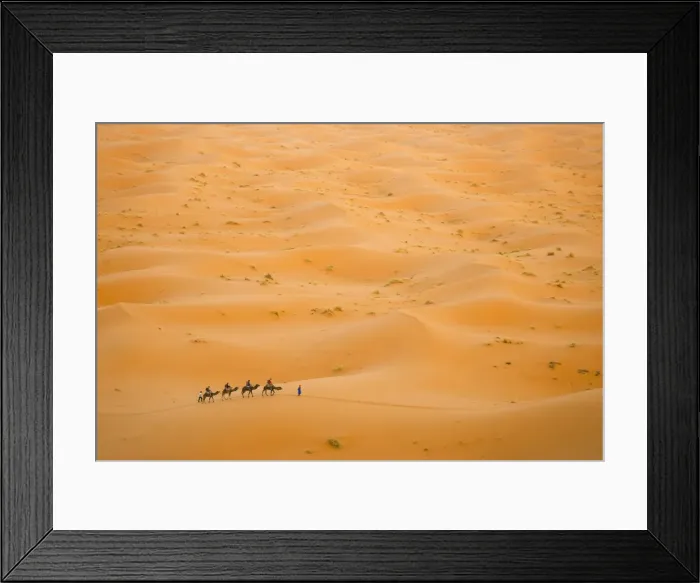 Framed Print : Camel caravan in Erg Chebbi Desert, Sahara Desert near Merzouga, Morocco, North Africa, Africa Framed Print : Camel caravan in Erg Chebbi Desert, Sahara Desert near Merzouga, Morocco, North Africa, Africa
