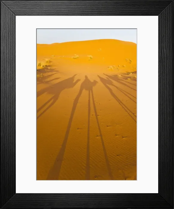 Framed Print : Camel caravan shadows, Erg Chebbi Desert, Sahara Desert near Merzouga, Morocco, North Africa, Africa Framed Print : Camel caravan shadows, Erg Chebbi Desert, Sahara Desert near Merzouga, Morocco, North Africa, Africa